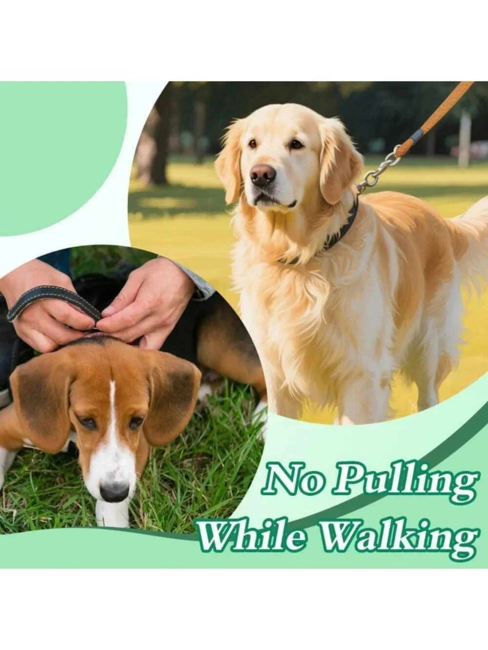 Adjustable No Pull Dog Training Collar with Comfort Tips for Small to XL Dogs